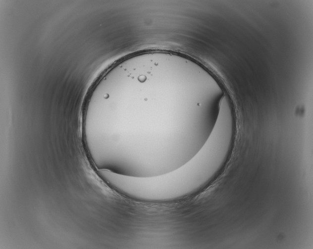 X0000113140940200910021437