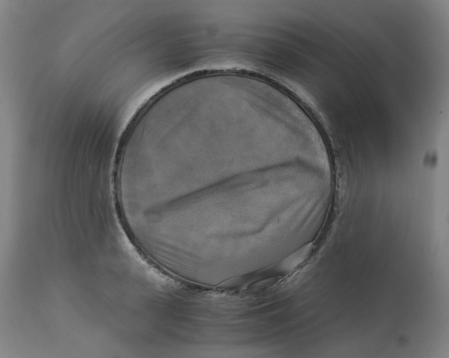 X0000113140943200910021437