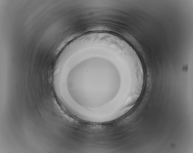 X0000113140945200910021437
