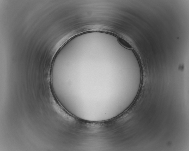 X0000113140946200910021437