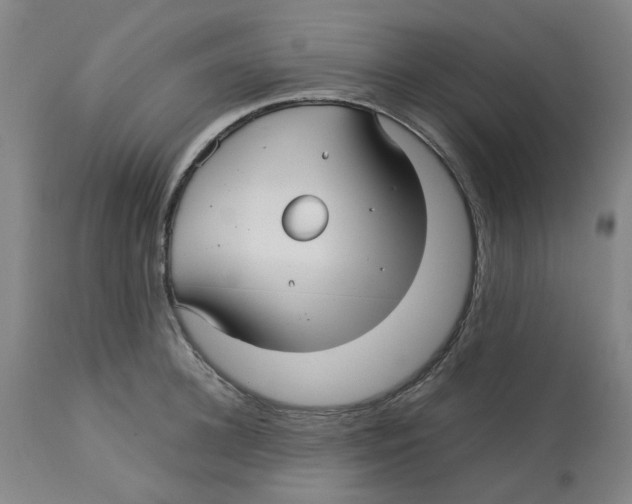 X0000113140948200910021437