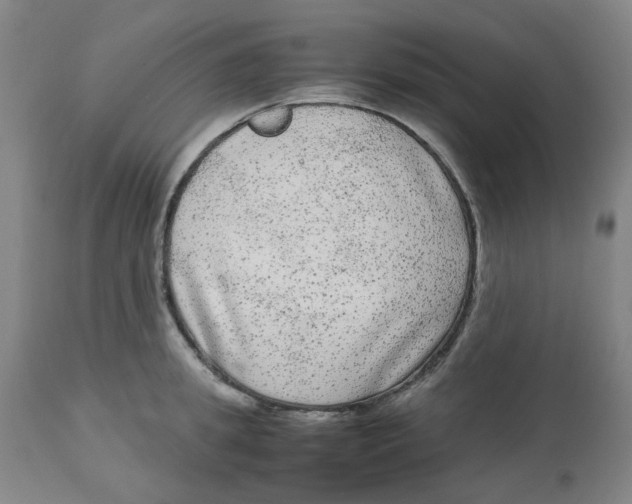 X0000113140949200910021437