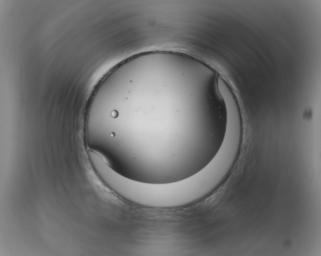 X0000113140952200910021437