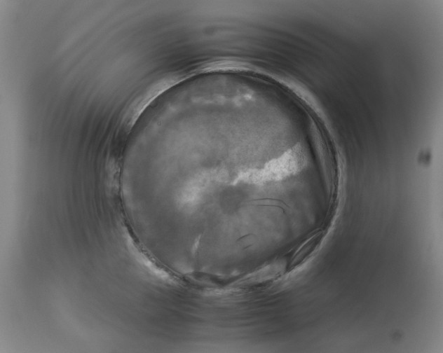 X0000113140953200910021437