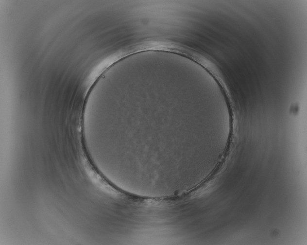 X0000113140954200910021437