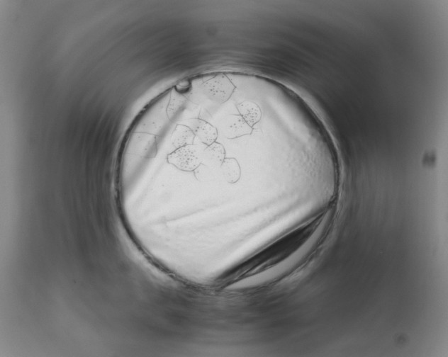 X0000113140957200910021437