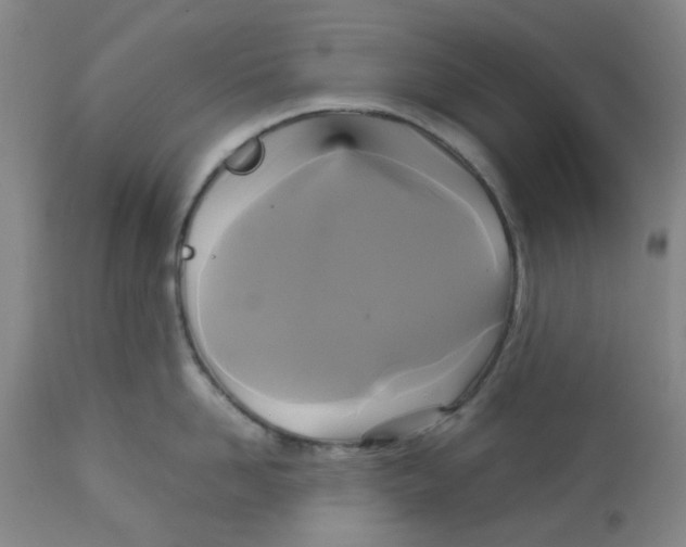 X0000113140958200910021437