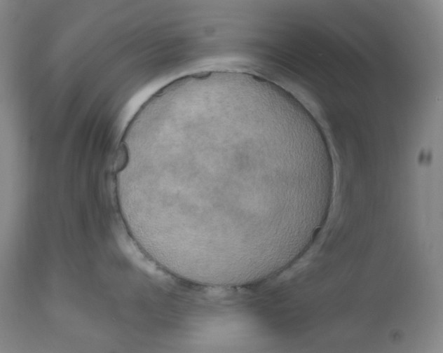 X0000113140960200910021437