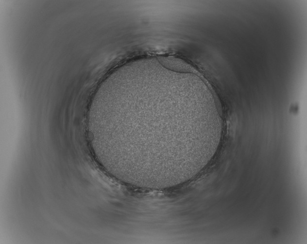 X0000113140961200910021436