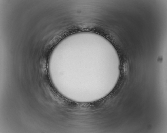X0000113140963200910021436