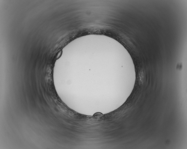 X0000113140964200910021436