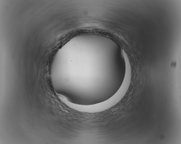 X0000113140965200910021436