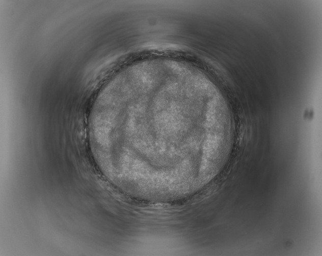 X0000113140966200910021436
