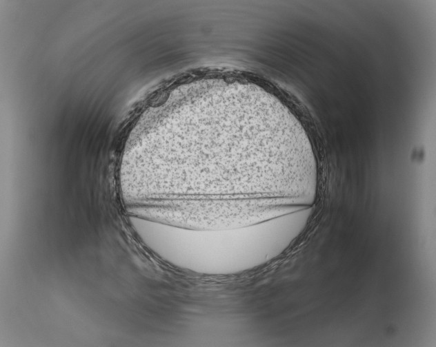X0000113140968200910021436