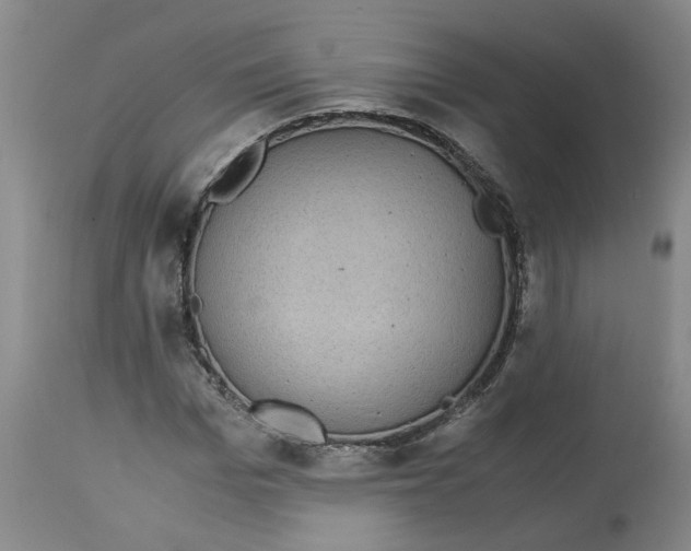 X0000113140969200910021436