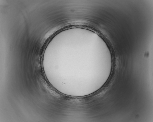 X0000113140970200910021436