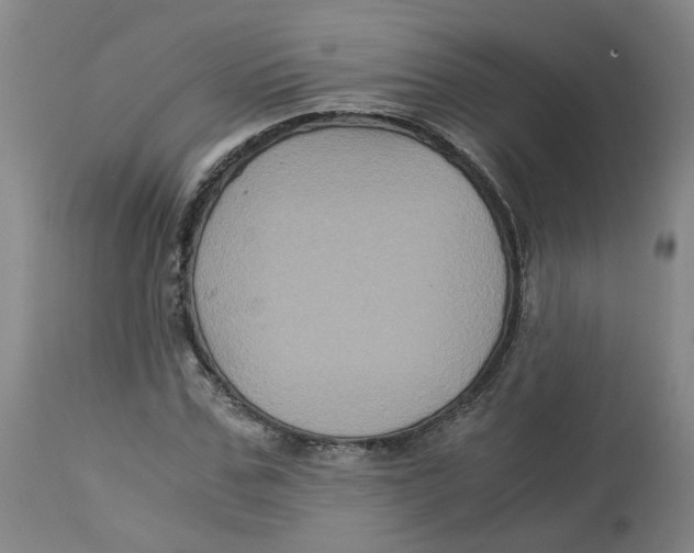 X0000113140971200910021436