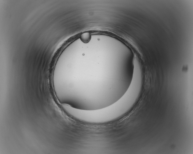 X0000113140972200910021436