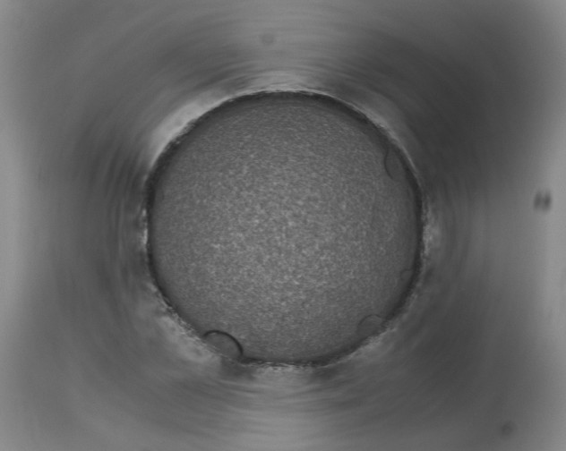 X0000113140973200910021436