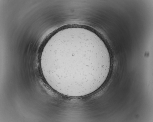 X0000113140974200910021436