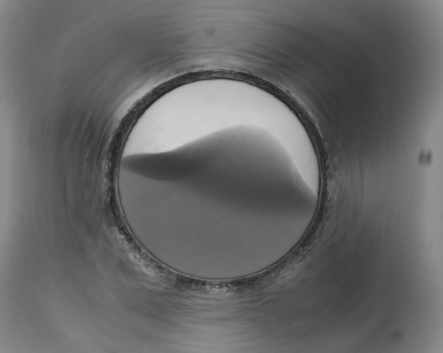X0000113140975200910021436
