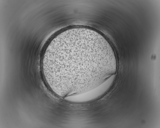 X0000113140976200910021436