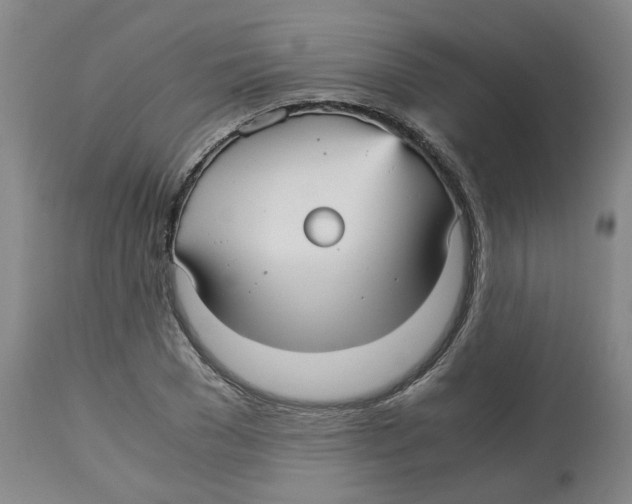 X0000113140977200910021436