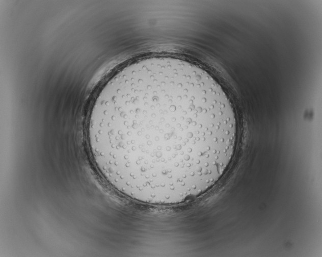 X0000113140978200910021436
