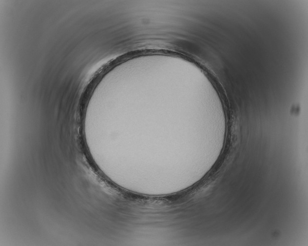 X0000113140979200910021436