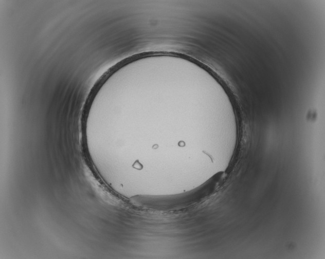 X0000113140980200910021436