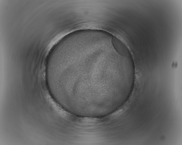 X0000113140981200910021436