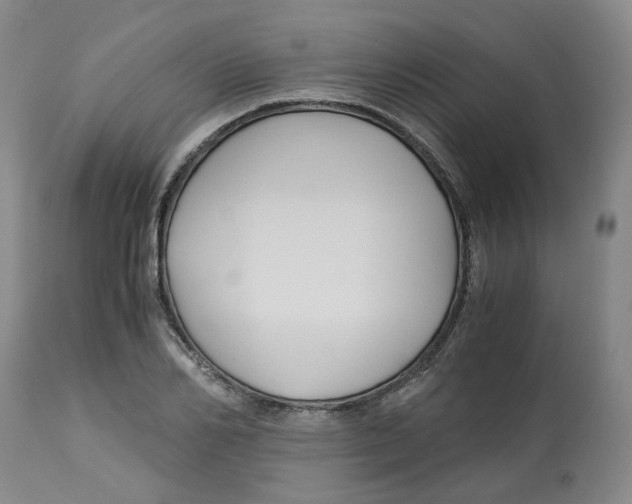 X0000113140982200910021436