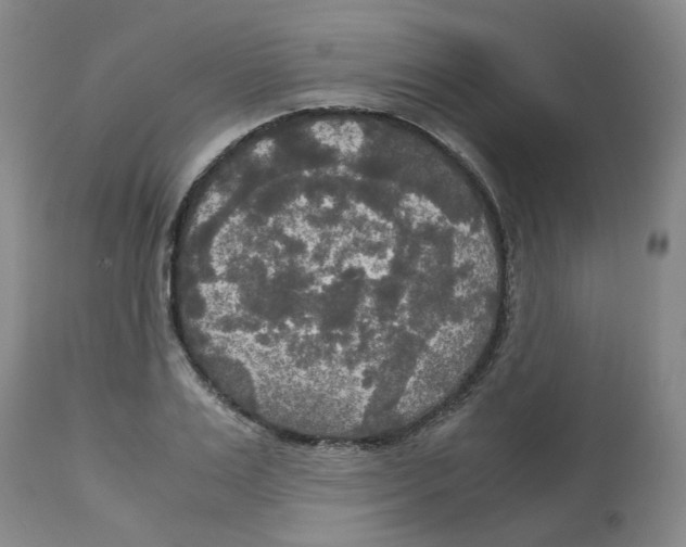 X0000113140983200910021436