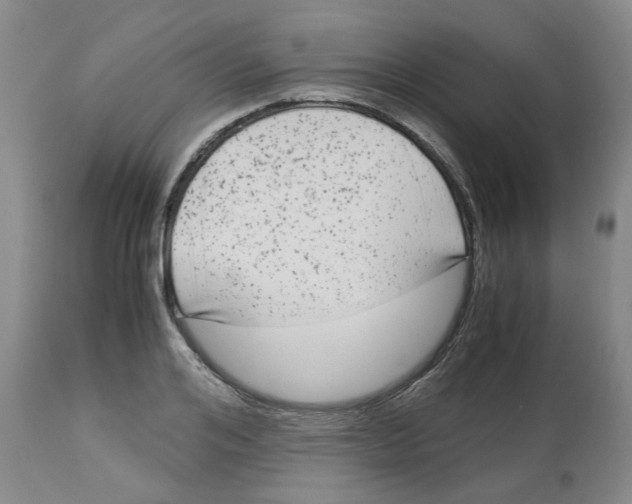 X0000113140984200910021436