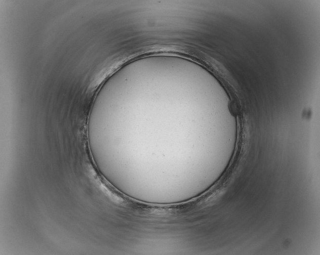 X0000113140985200910021436