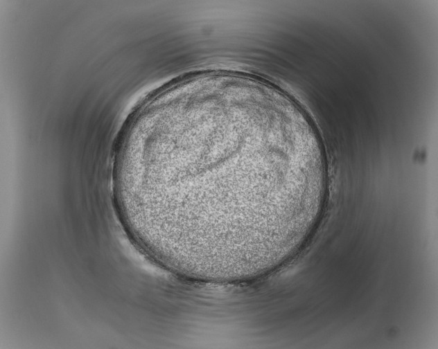 X0000113140987200910021436