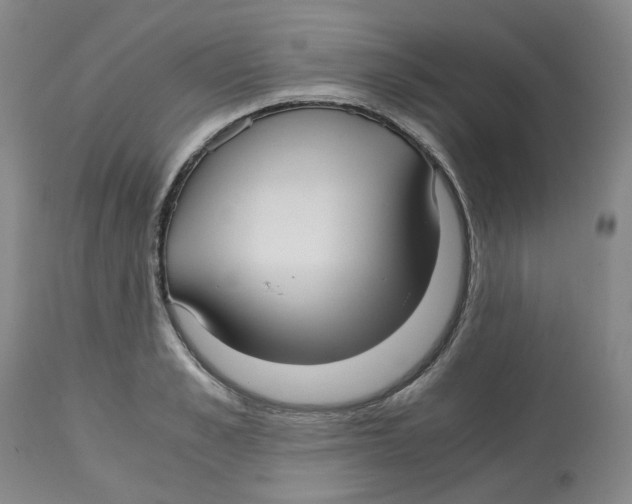 X0000113140989200910021436