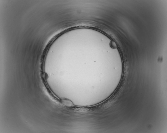 X0000113140991200910021436