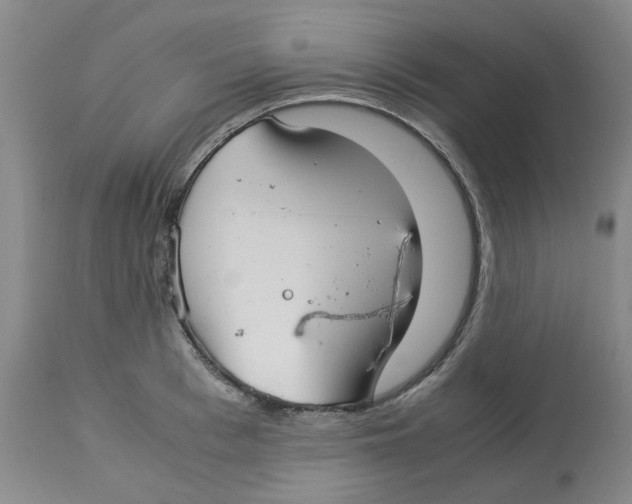 X0000113140993200910021436