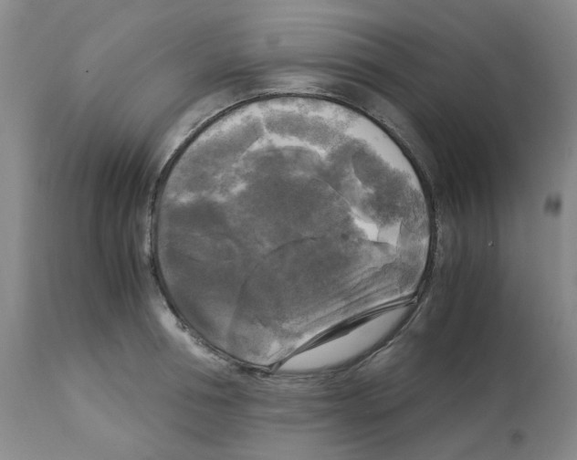X0000113140994200910021436