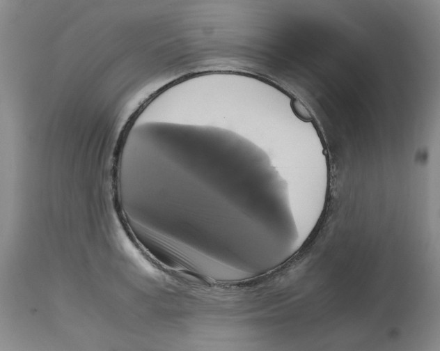 X0000113140995200910021436