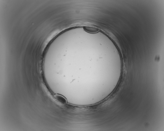 X0000113140997200910021436