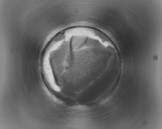 X0000113140998200910021436