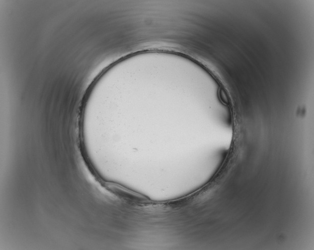 X0000113140999200910021436