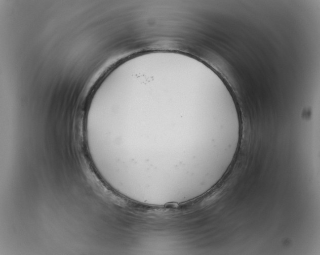 X0000113141000200910021436