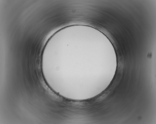 X0000113141004200910021436