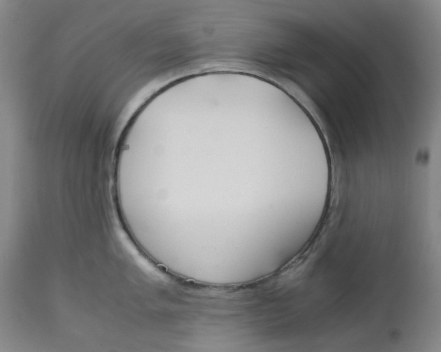X0000113141005200910021436