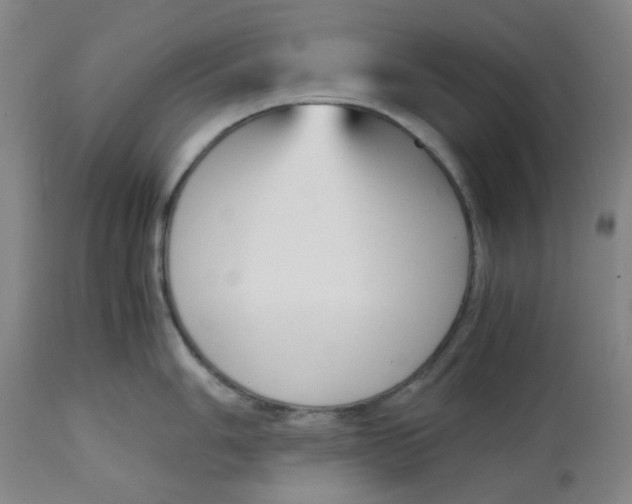 X0000113141006200910021436