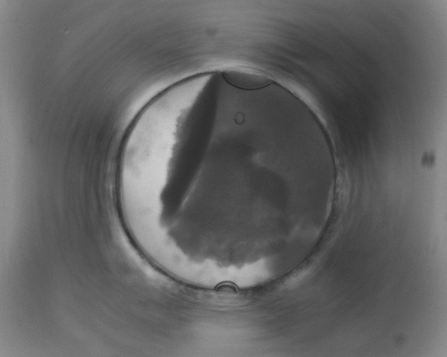 X0000113141007200910021436