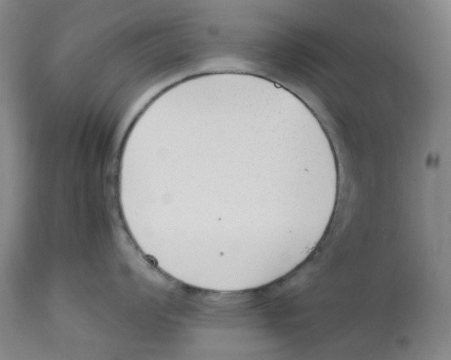 X0000113141008200910021435